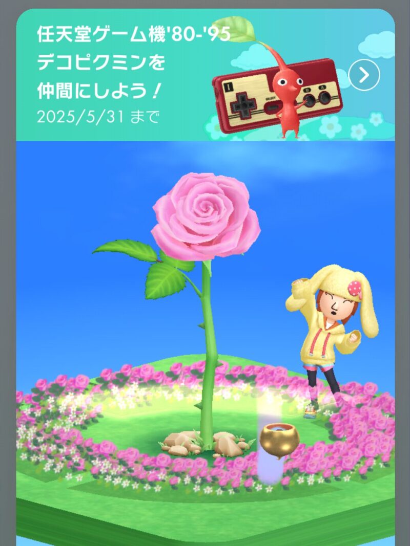 5月のルーレット