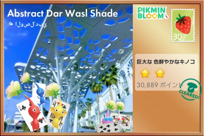 トランプのデコピクミンのポストカード