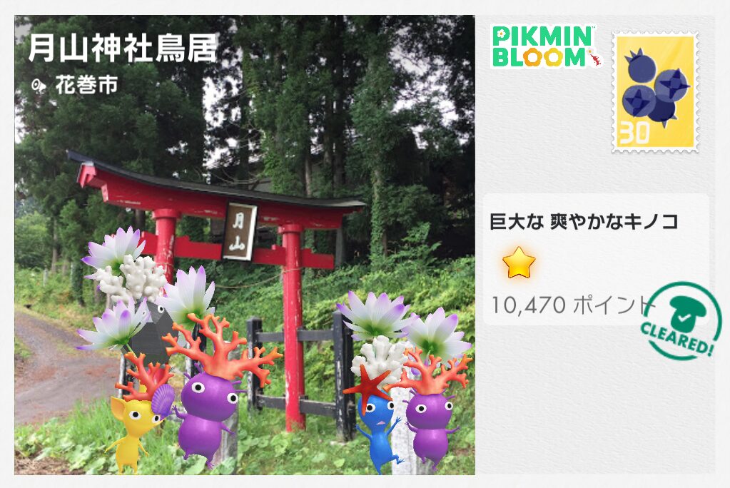 鳥居のポストカード