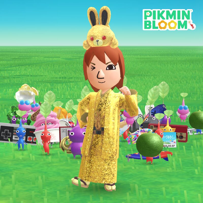 金色のうさぎを乗せたMii