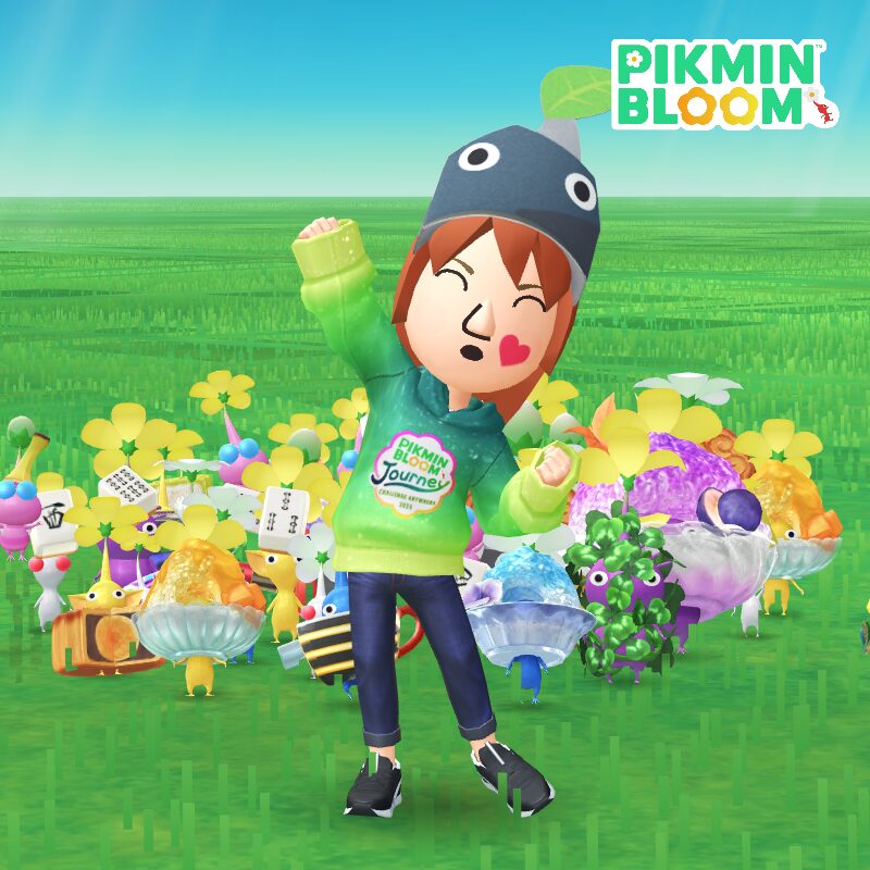 どこでもチャレンジ限定Miiコスチューム