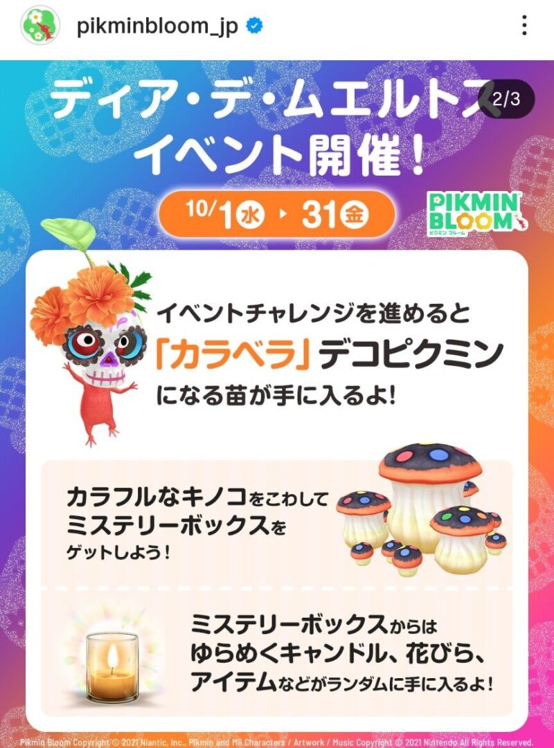 ディア・デ・ムエルトスイベント