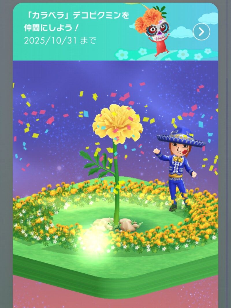 エレガンテ・マリアッチの礼装を着たMii