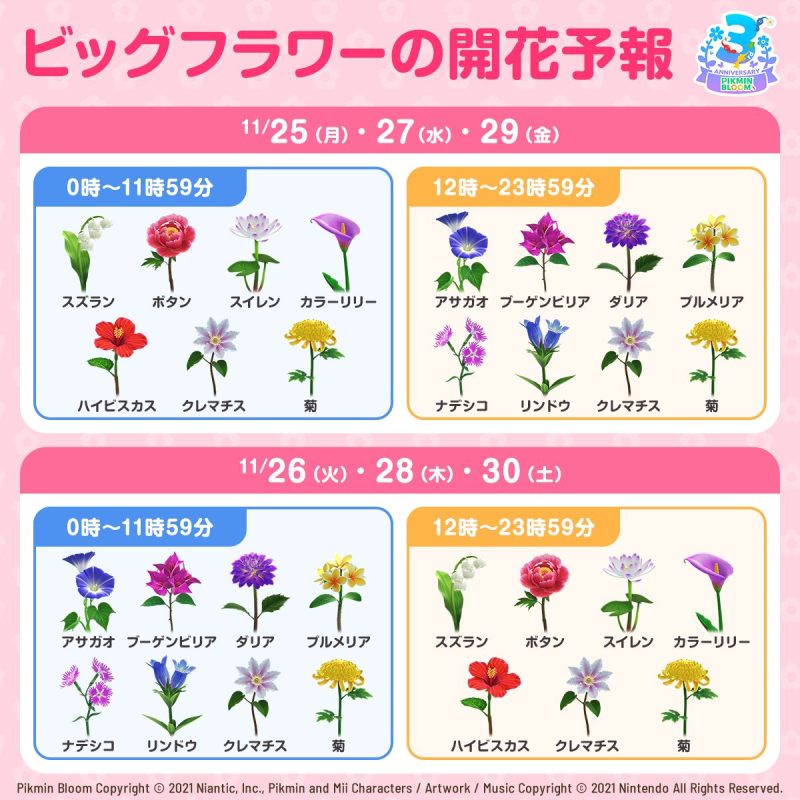 3周年コミュニティ・ウィーク