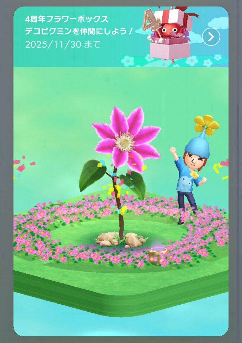 11月のイベントルーレット