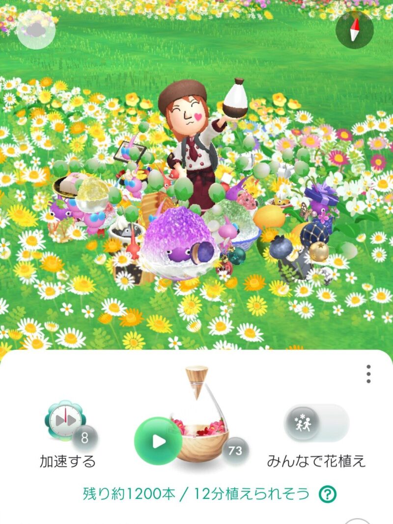 ショコラティエコートのMii