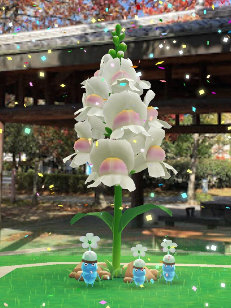 バレンタインチョコ2026氷ピクミンと白色キンギョソウ