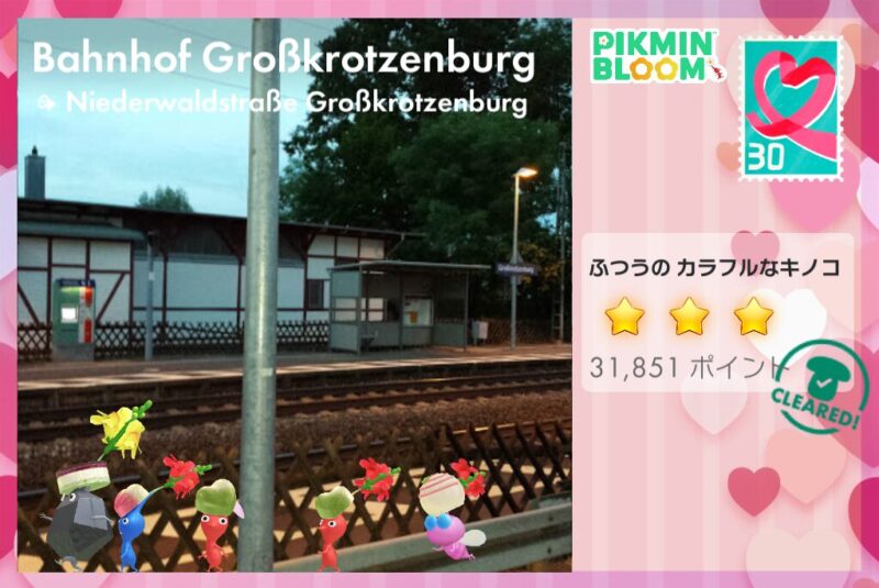 バレンタインチョコ2026ピクミンのポストカード