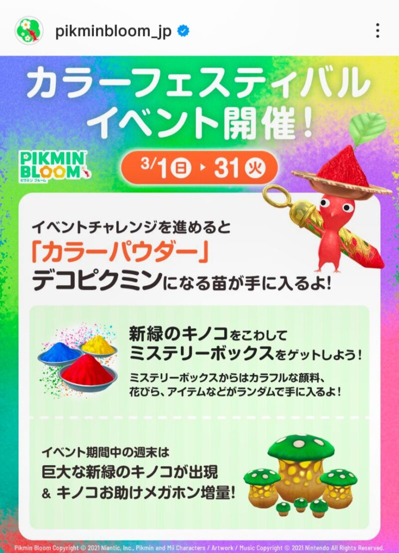 カラーフェスティバルイベント開催