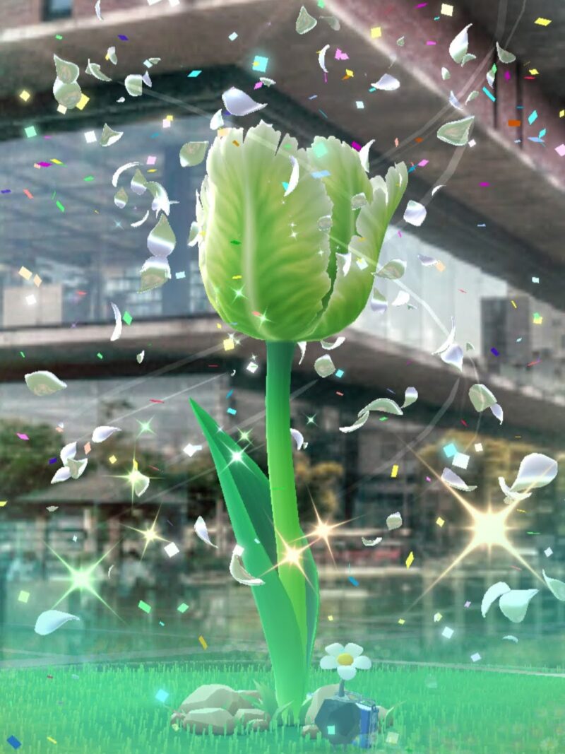 ビッグフラワーが咲く