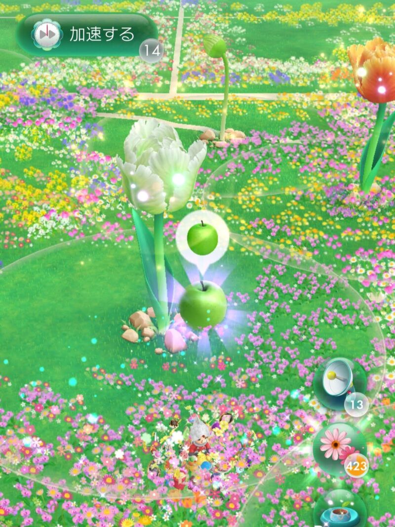 コミュニティ・デイの花植え