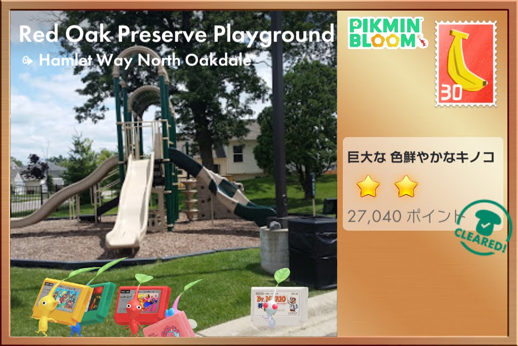 ゲームカセットデコピクミンと公園
