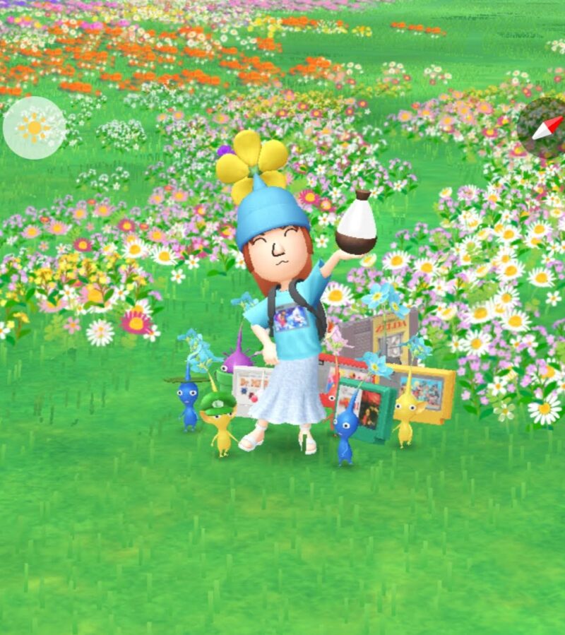 ピクミンと花植え
