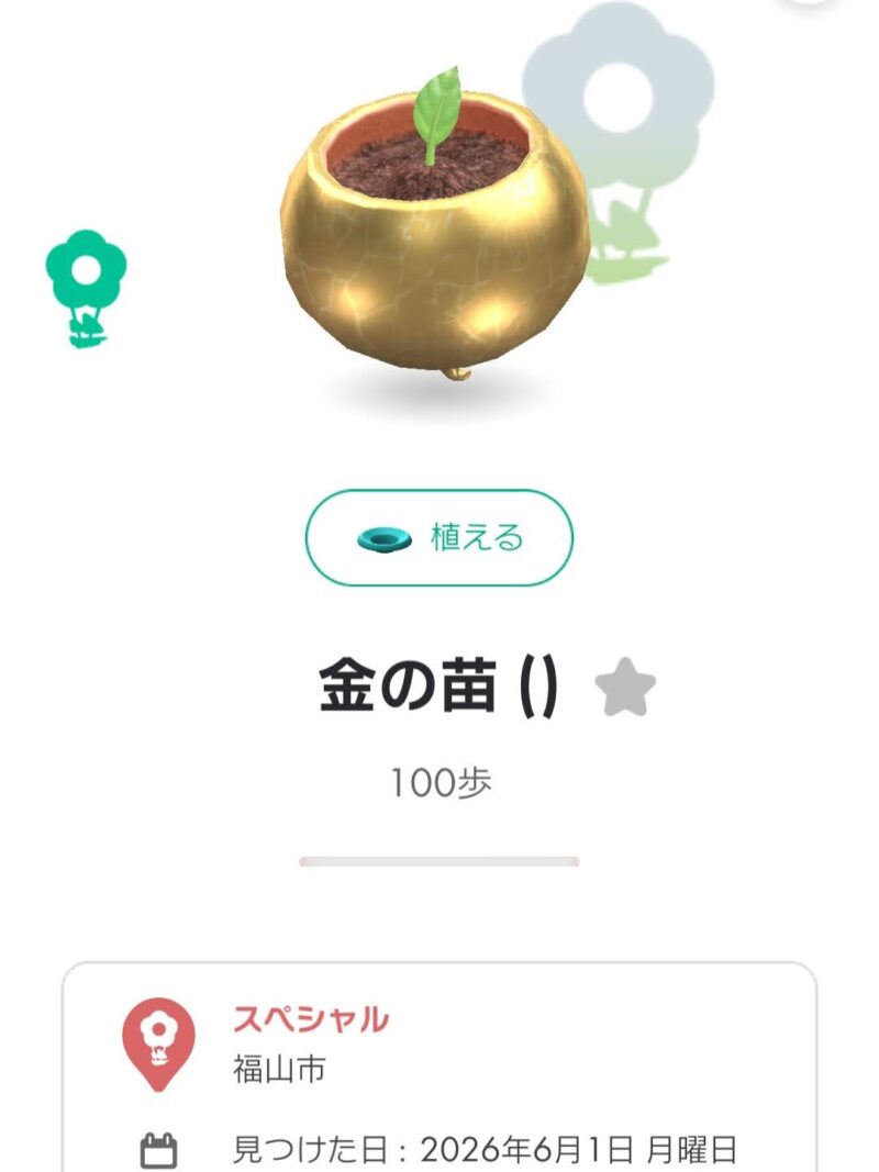 アップデートしていなかった金の苗