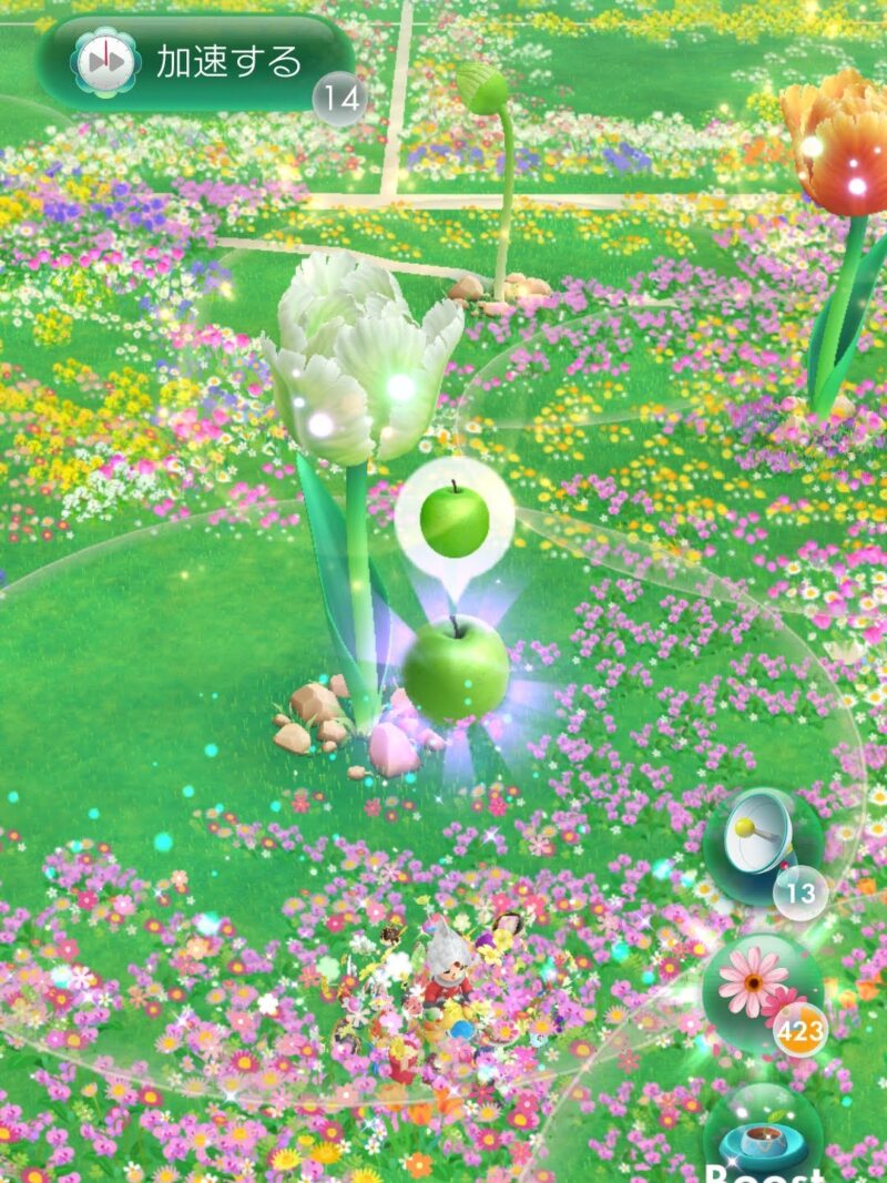 開花したビッグフラワー