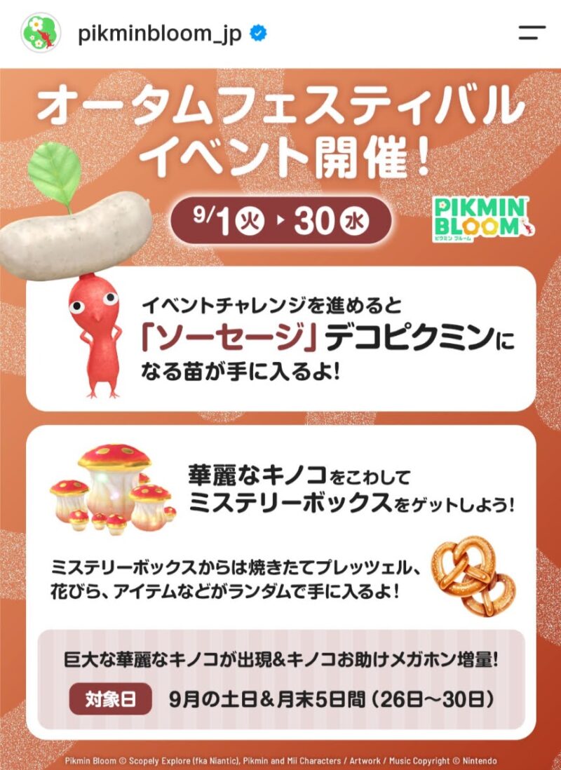オータムフェスティバルイベント